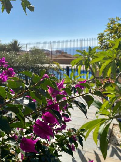 Image No.20-Maison de 3 chambres à vendre à San Juan De Los Terreros