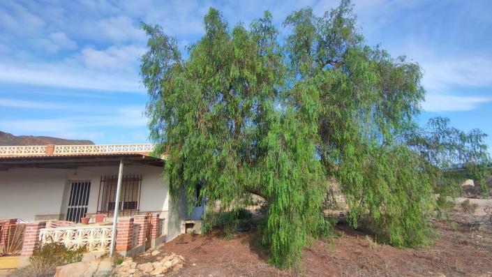 Image No.4-5 Bed House for sale