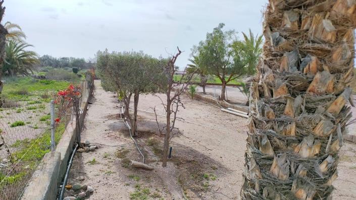 Image No.7-Maison de 3 chambres à vendre à San Juan De Los Terreros