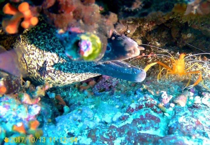 Image No.4-Appartement de 3 chambres à vendre à Villaricos