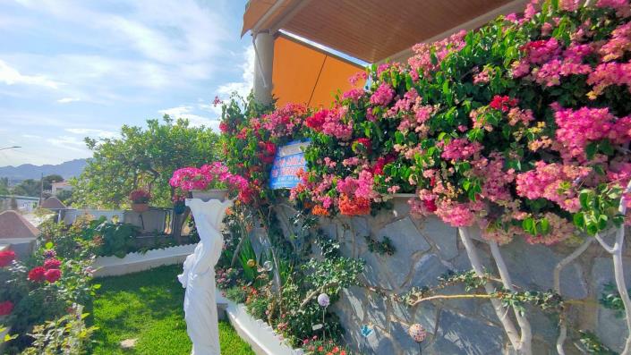 Image No.6-3 Bed Duplex for sale