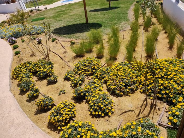 Image No.24-Appartement de 1 chambre à vendre à San Juan De Los Terreros