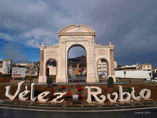 Image No.16-Terre à vendre à Velez-Rubio