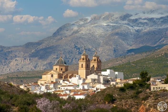 Image No.17-Terre à vendre à Velez-Rubio