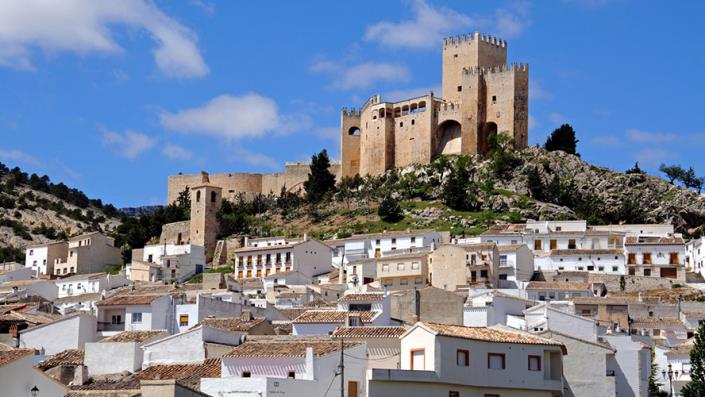 Image No.19-Terre à vendre à Velez-Rubio