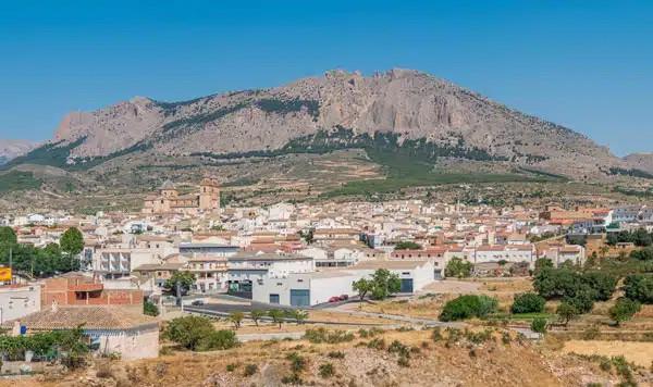 Image No.20-Terre à vendre à Velez-Rubio