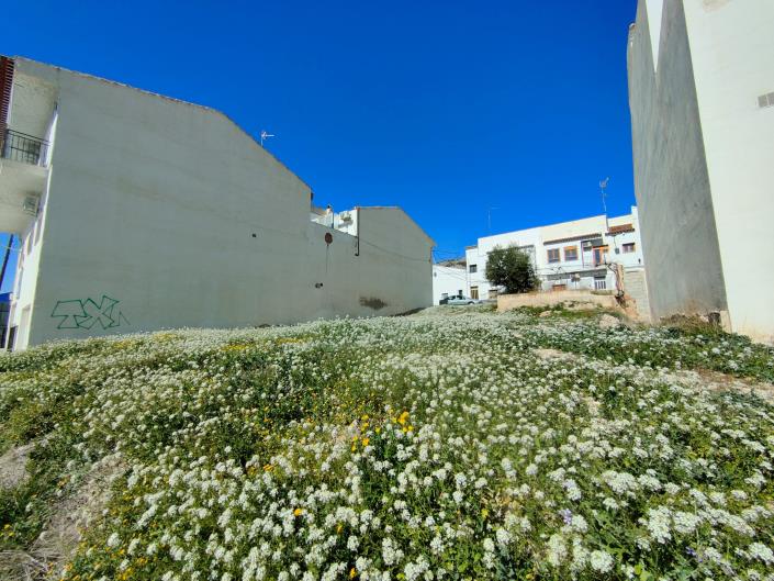 Image No.8-Terre à vendre à Velez-Rubio