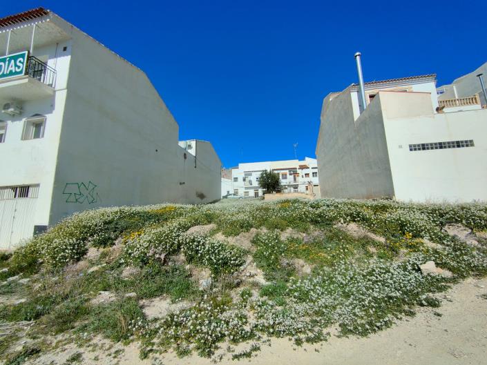 Image No.9-Terre à vendre à Velez-Rubio