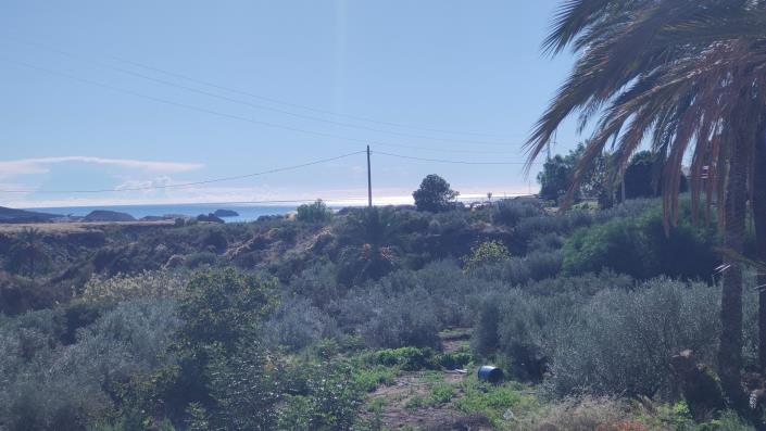 Image No.35-Maison / Villa de 4 chambres à vendre à Pilar de Jaravia