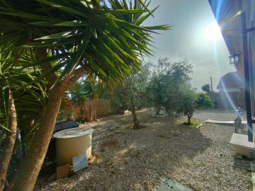 foto8