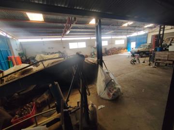foto14