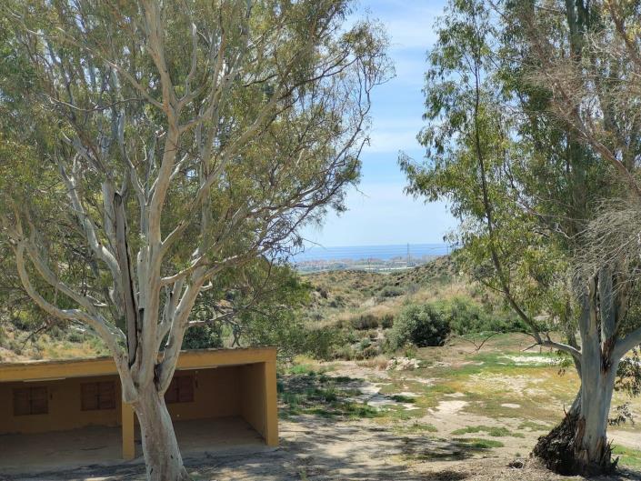 Image No.28-3 Bed Finca for sale