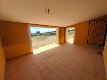 foto8