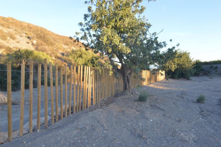 Image No.30-3 Bed Finca for sale
