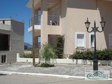 photo_11---2-
