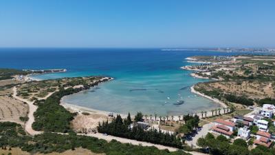 DJI_0282