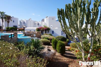 10-Villa-for-sale-in-Chloraka-Property-1199