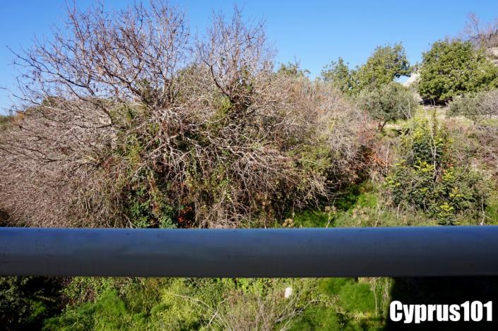 Image No.23-Villa de 3 chambres à vendre à Mesa Chorion