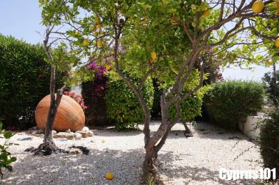 8-Peyia-bungalow-on-a-large-plot-with-panoramic-views-Property-1246