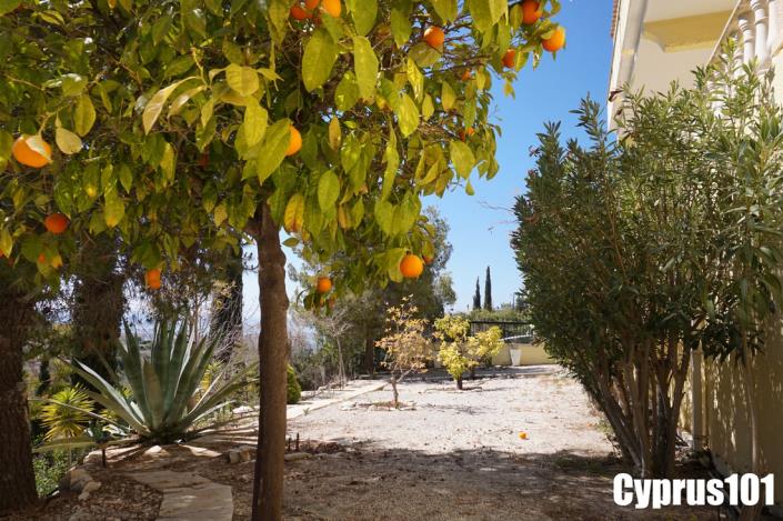 Image No.10-5 Bed Villa / Detached for sale