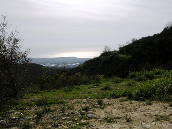 Image No.2-Terrain à vendre à Tsada