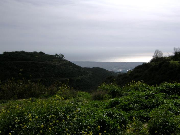 Image No.1-Plot for sale