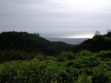 tsada-paphos-land-7
