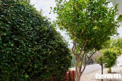 6-Emba-Paphos-3-bedroom-bungalow-Property-1318
