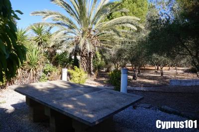 9-Letymbou-Paphos-village-Property-1350