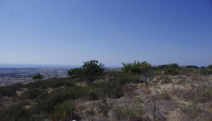 Image No.4-Terre à vendre à Konia