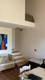 IMG-20241202-WA0006