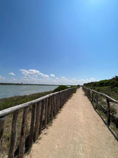 Image No.4-4 Bed Masseria for sale