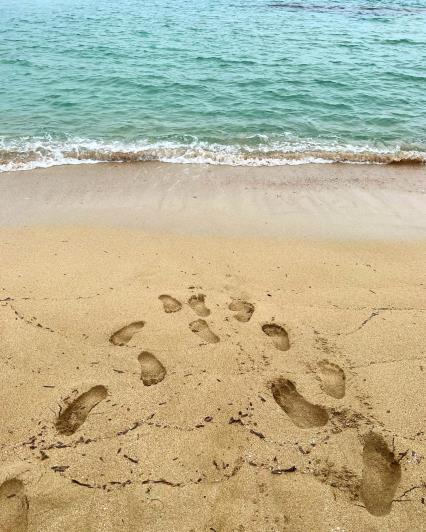 Image No.3-4 Bed Masseria for sale