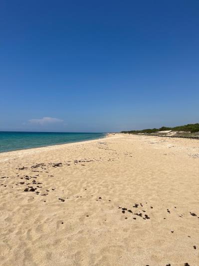 Image No.5-4 Bed Masseria for sale