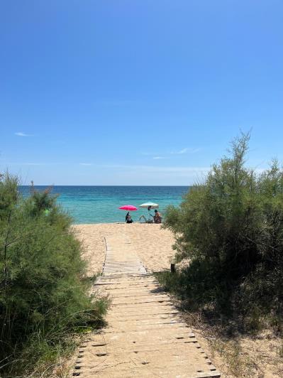 Image No.6-4 Bed Masseria for sale