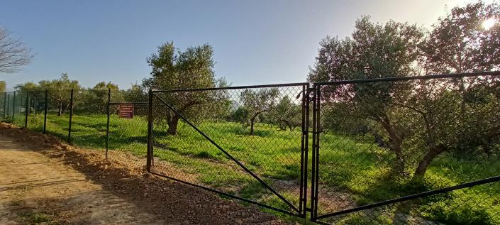 Image No.5-Plot for sale