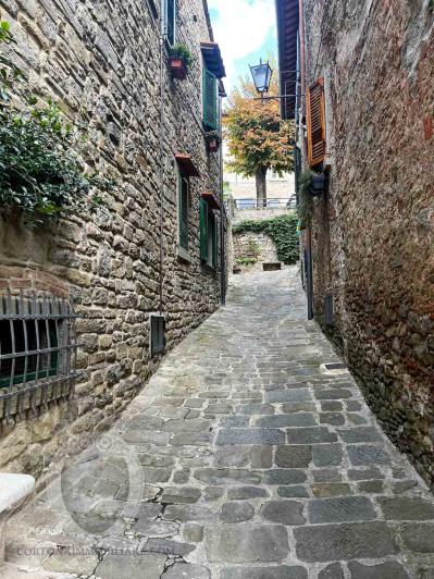 Image No.52-Maison de ville de 3 chambres à vendre à Cortona