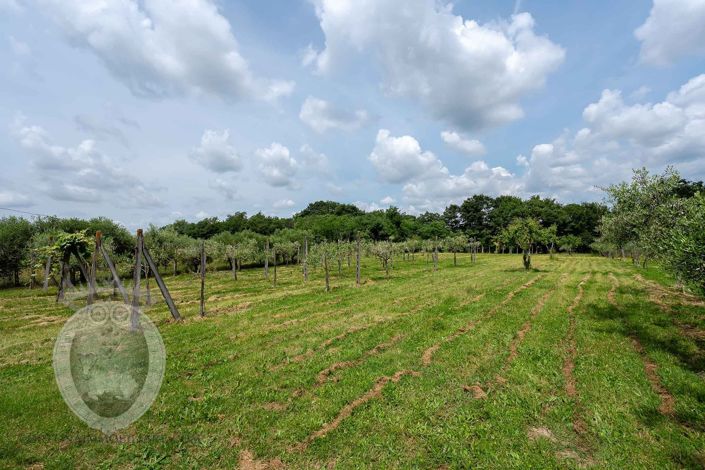 Image No.26-Propriété à vendre à Cortona