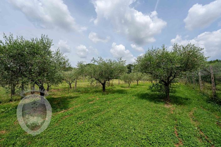 Image No.27-Propriété à vendre à Cortona