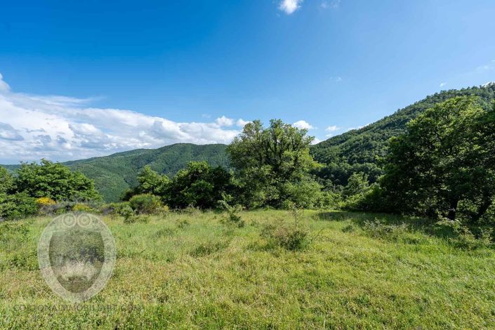 Image No.10-Property for sale