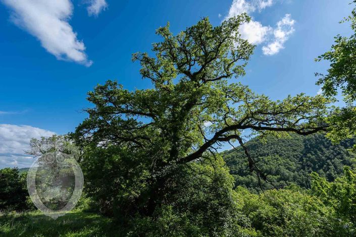 Image No.18-Property for sale