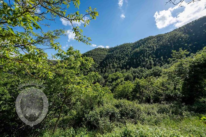 Image No.40-Property for sale