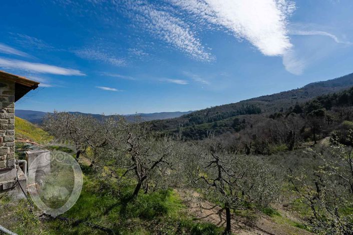 Image No.21-Property for sale