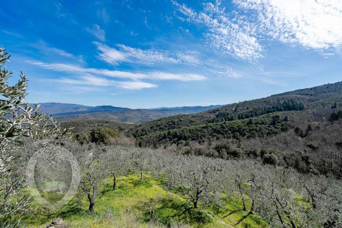 Image No.25-Property for sale