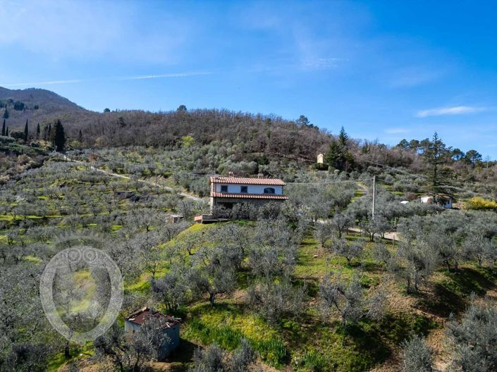 Image No.6-Property for sale