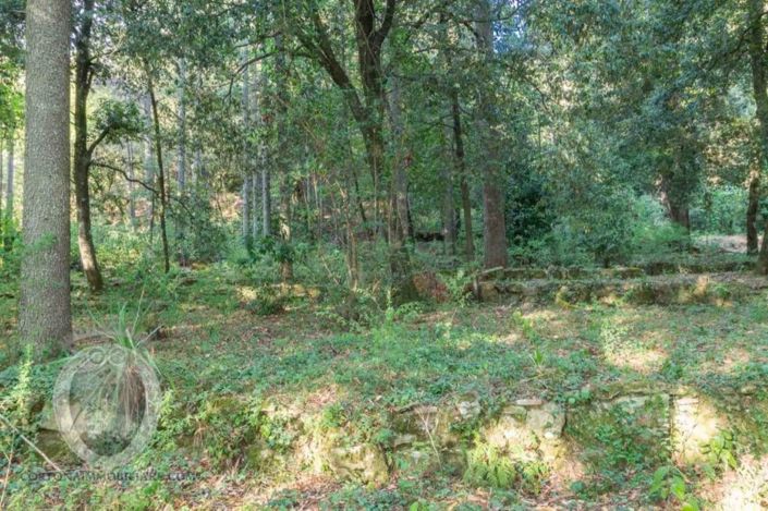 Image No.10-Propriété de 5 chambres à vendre à Cortona