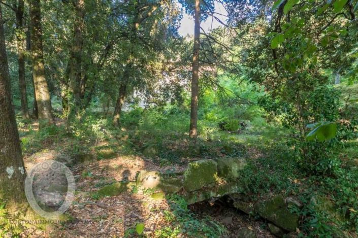 Image No.12-Propriété de 5 chambres à vendre à Cortona