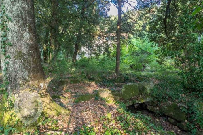 Image No.13-Propriété de 5 chambres à vendre à Cortona