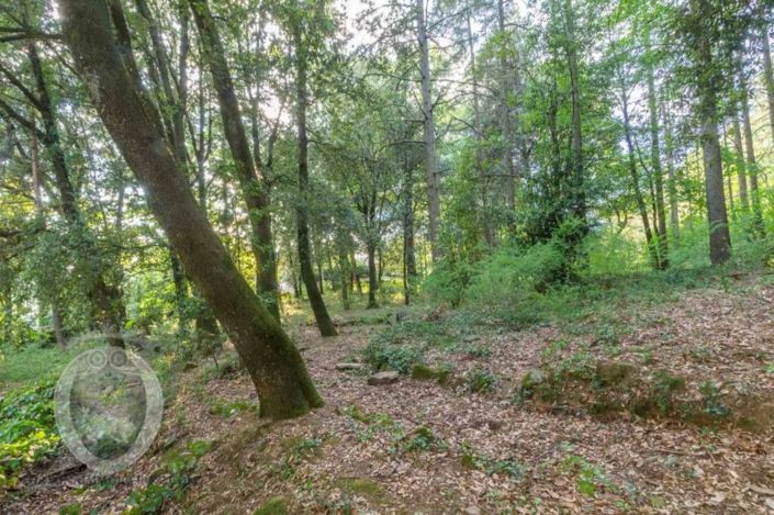 Image No.16-Propriété de 5 chambres à vendre à Cortona