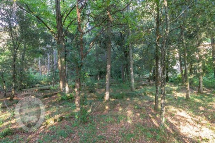 Image No.7-Propriété de 5 chambres à vendre à Cortona